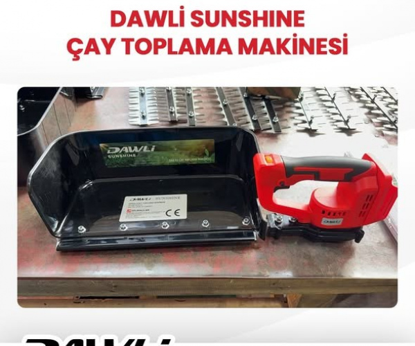 DAWLİ Çay Toplama